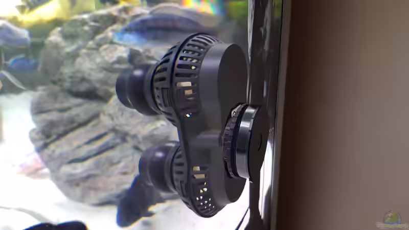 Technik im Aquarium Cichlidenparadies von Malawi-Guard (61)