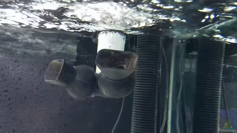 Technik im Aquarium Cichlidenparadies von Malawi-Guard (65)