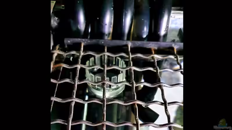 Technik im Aquarium Cichlidenparadies von Malawi-Guard (72)