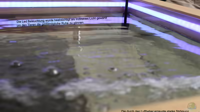 Technik im Aquarium Couchtisch Aquarium von Florian Böhling (8)