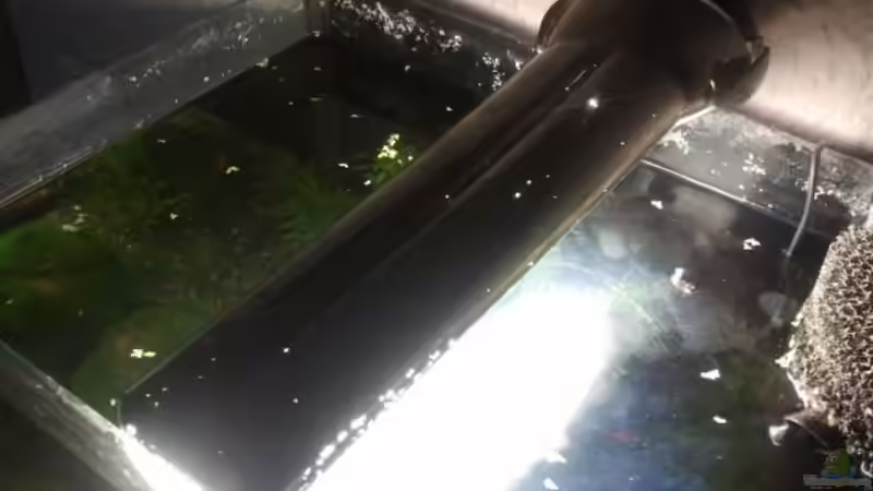 Technik im Aquarium Crystal Red Home von Goldi 1977 (14)