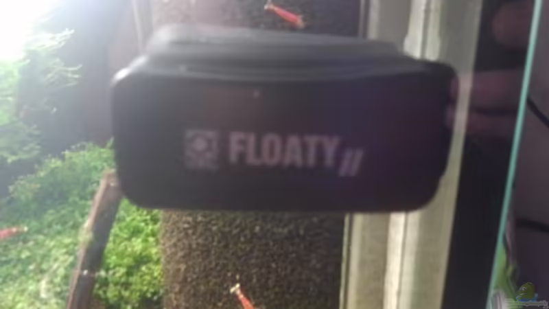 Technik im Aquarium Crystal Red Home von Goldi 1977 (16)