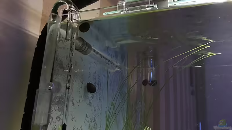 Technik im Aquarium Cube60 von Tom81 (17)