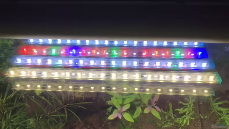 Technik im Aquarium Cube60 von Tom81 (20)