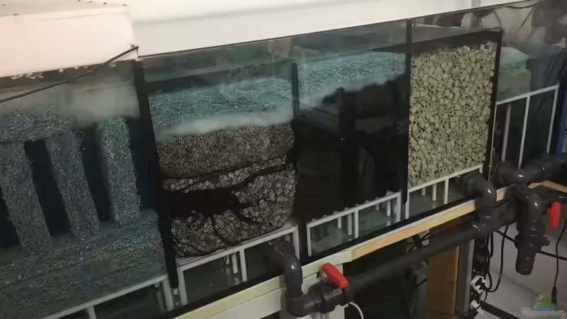 Technik im Aquarium DARIUS von Garbas Darius (4)