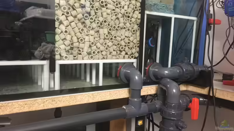 Technik im Aquarium DARIUS von Garbas Darius (5)