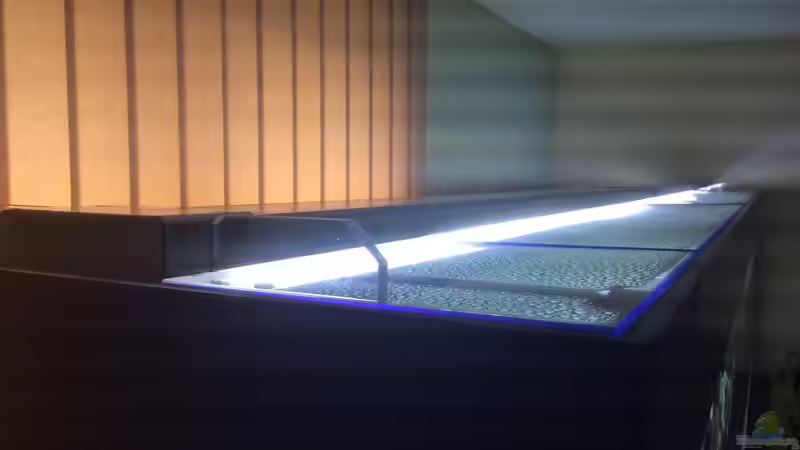 Technik im Aquarium DARIUS von Garbas Darius (7)