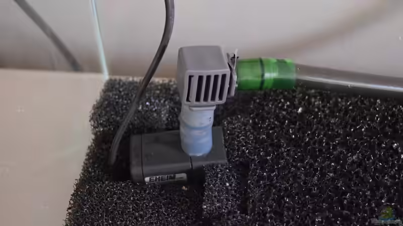 Technik im Aquarium Dartmoor von Junglist (16)