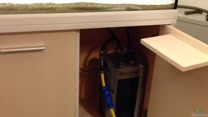 Technik im Aquarium Das erste mal Malawi von Kunx (7)