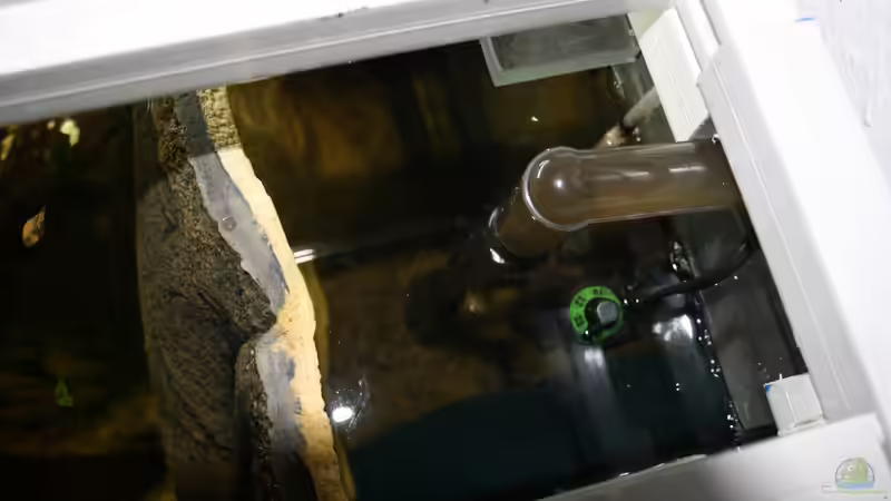 Technik im Aquarium Das Flagschiff von schnapper (23)