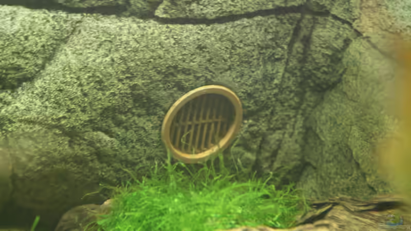 Technik im Aquarium Das Flagschiff von schnapper (24)