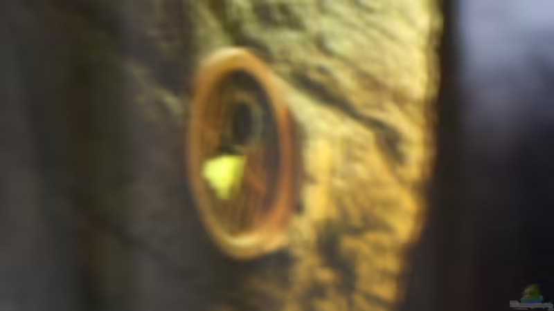 Technik im Aquarium Das Flagschiff von schnapper (25)