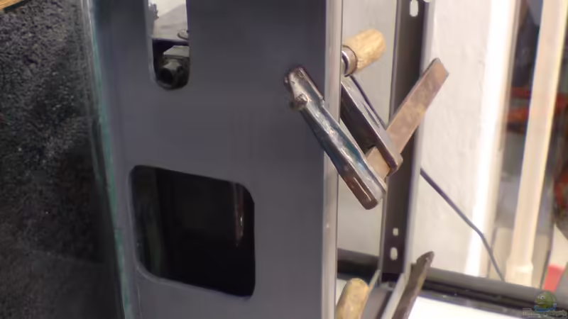 Technik im Aquarium Das Tanganjikabecken von timme (49)