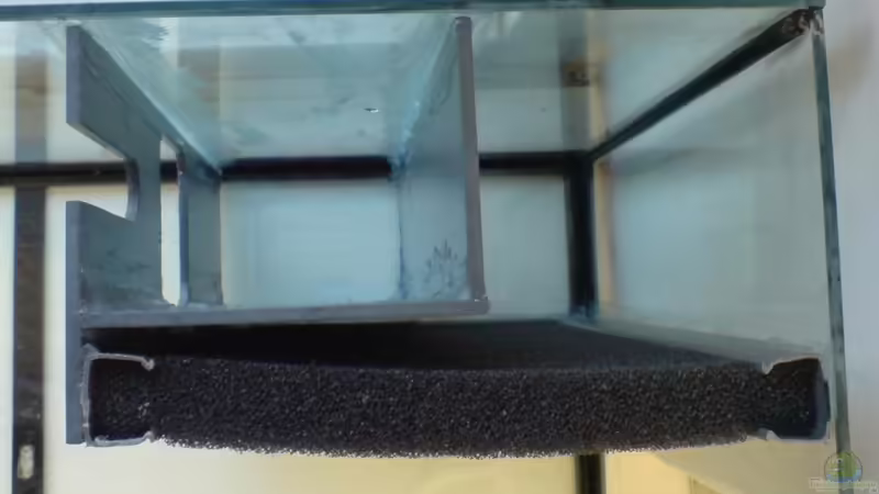 Technik im Aquarium Das Tanganjikabecken von timme (51)