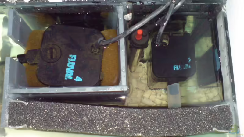 Technik im Aquarium Das Tanganjikabecken von timme (52)