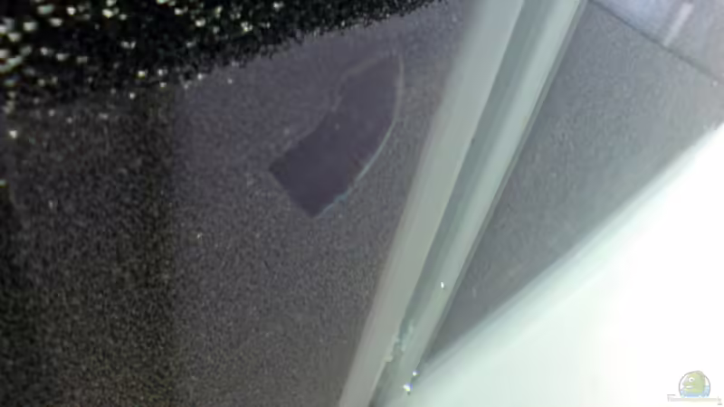 Technik im Aquarium Das Tanganjikabecken von timme (54)