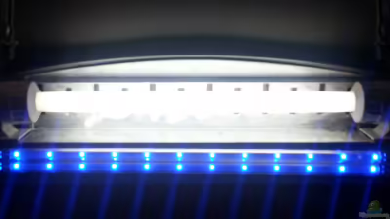 Technik im Aquarium Death Valley von Trimmy (5)