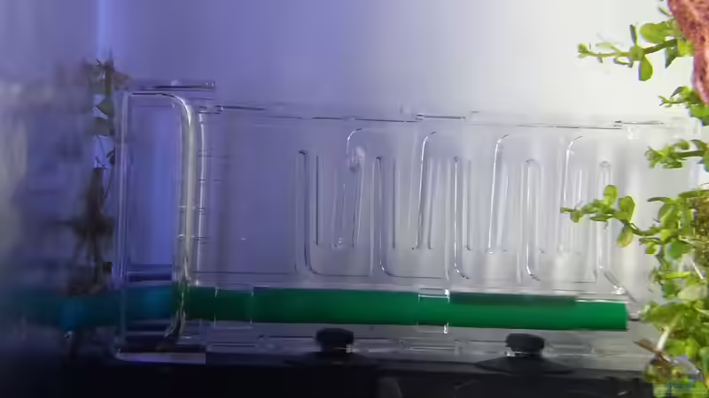 Technik im Aquarium Death Valley von Trimmy (6)