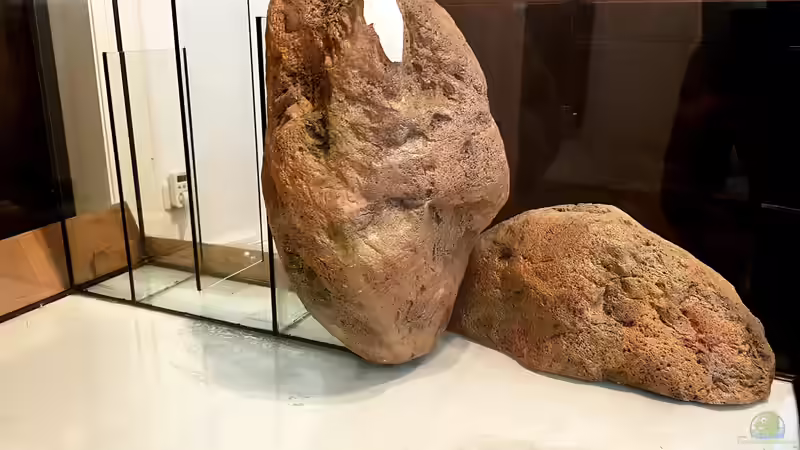 Technik im Aquarium Deep Blue Malawi von Limited (15)