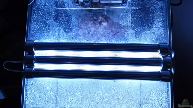 Technik im Aquarium deep blue reef von garnelenhunter (14)