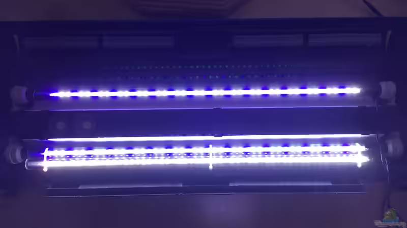 Technik im Aquarium Deep Blue Sea von .Andreas. (75)