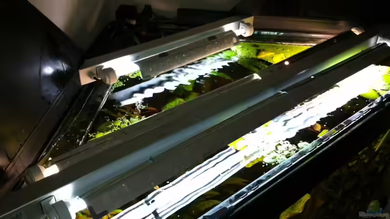 Technik im Aquarium Deltabecken von Olli (10)