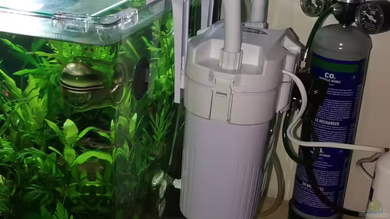 Technik im Aquarium Dennerle scapers tank 50 (nur noch Beispiel) von Ralf Bercke (5)