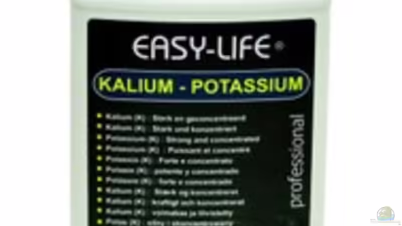 Technik im Aquarium Der Fels von Marcel Reiter (12)