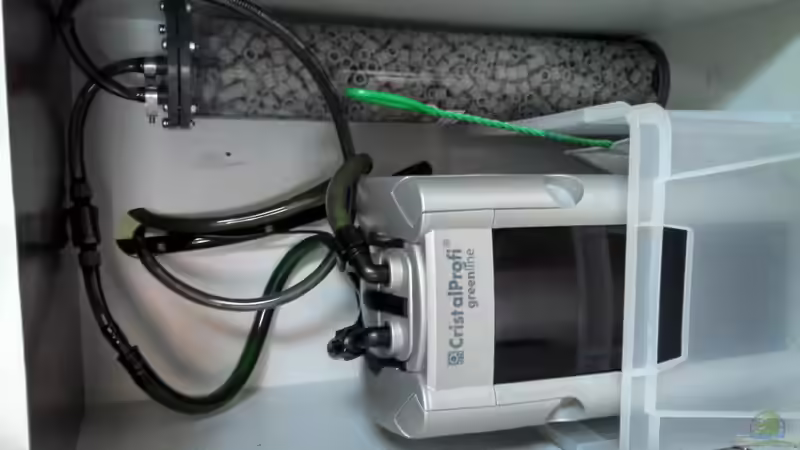 Technik im Aquarium Diskus ) von Alexander Paulus (9)