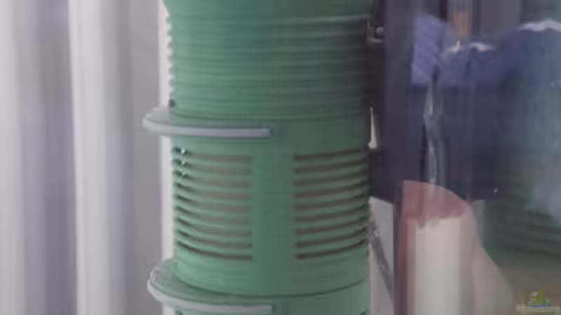 Technik im Aquarium Diskus Quarantäne Becken von Johannes L. (5)