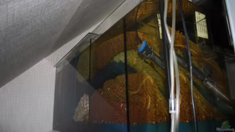 Technik im Aquarium Diskus von Fenrier (6)