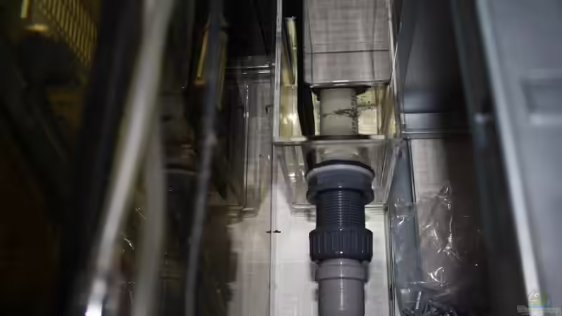 Technik im Aquarium Diskus von Fenrier (7)