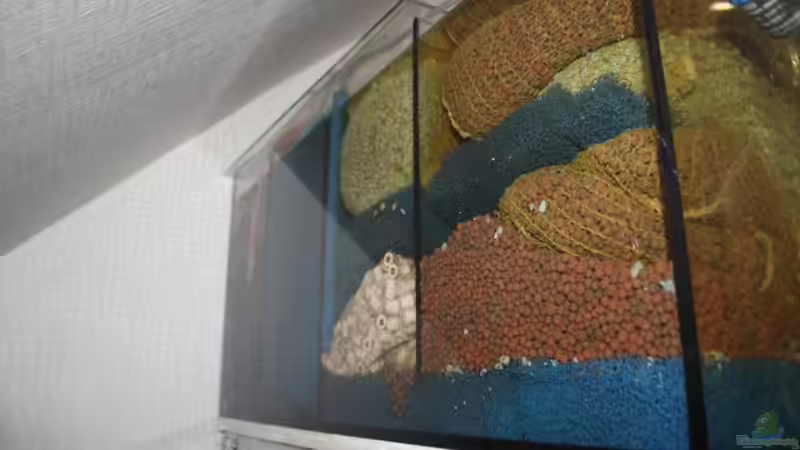 Technik im Aquarium Diskus von Fenrier (8)