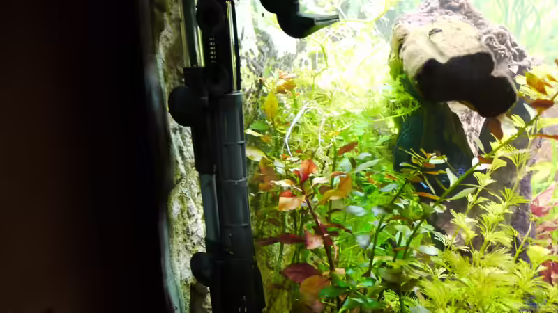 Technik im Aquarium Diskusbecken von Mella (20)