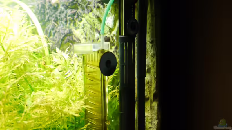 Technik im Aquarium Diskusbecken von Mella (21)
