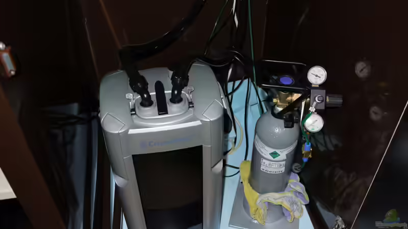 Technik im Aquarium Diskusbecken von Mella (23)