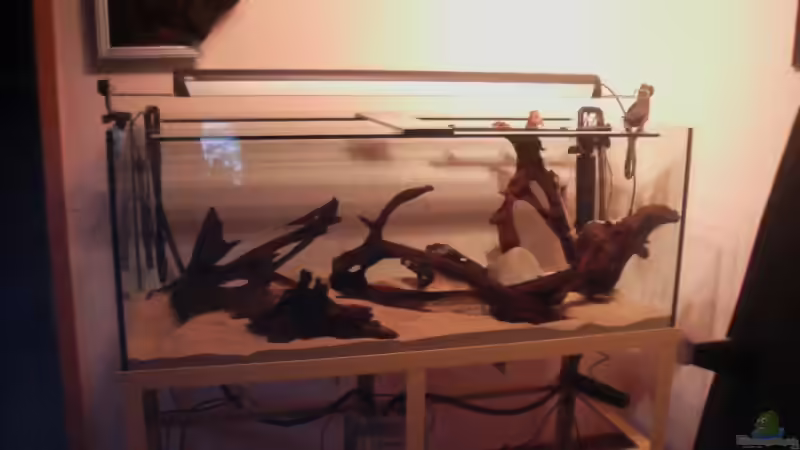 Technik im Aquarium Diskusbecken von Stalker (4)