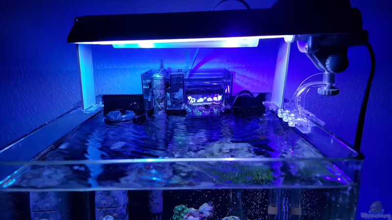 Technik im Aquarium Diud Cube Riff von BenoN (13)