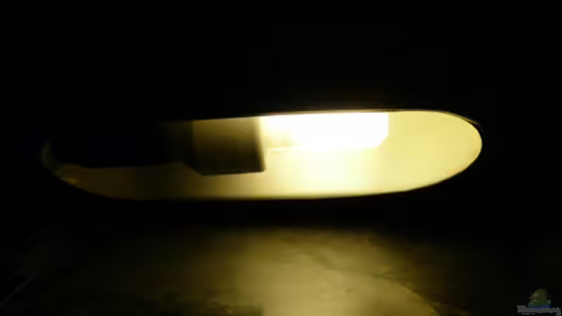 Technik im Aquarium DNC von Cichlid Power (10)