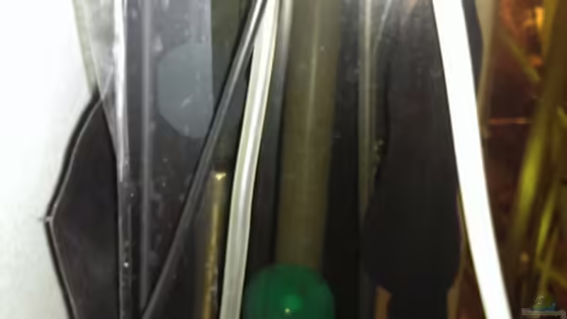 Technik im Aquarium Dornaugenbiotop von Niklas125 (21)