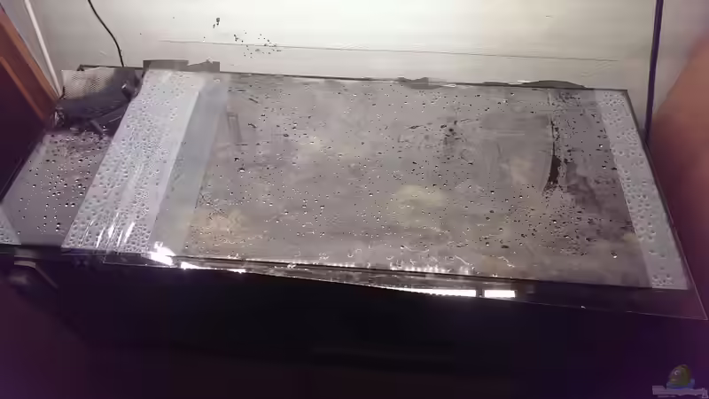 Technik im Aquarium Dornaugenbiotop von Niklas125 (25)