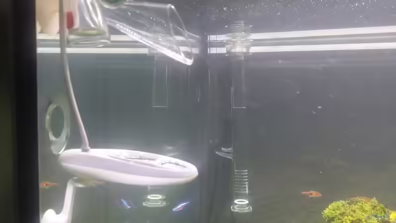 Technik im Aquarium Drachenberg 60x60x60 Cube von Enyo (8)