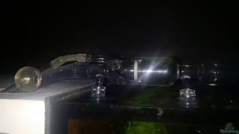 Technik im Aquarium Drachenberg 60x60x60 Cube von Enyo (9)