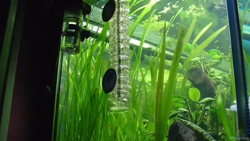 Technik im Aquarium Dschungel von Die Juli (32)