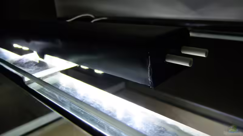 Technik im Aquarium Dunkles Amazonasdikicht von ManiacXL (16)