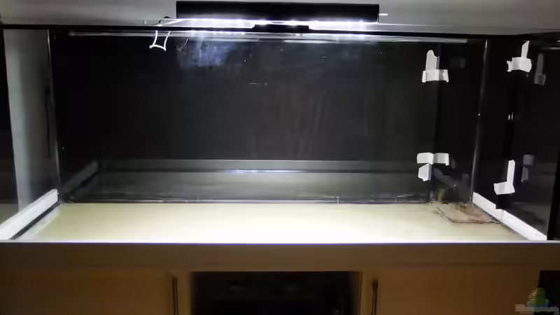 Technik im Aquarium Dunkles Amazonasdikicht von ManiacXL (17)