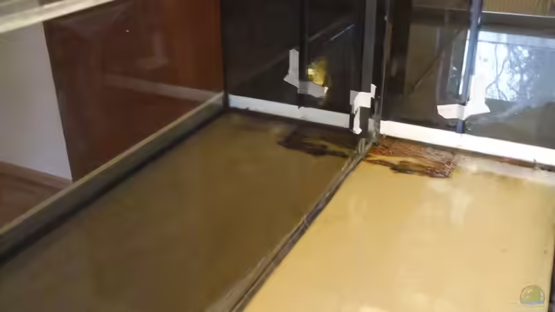 Technik im Aquarium Dunkles Amazonasdikicht von ManiacXL (19)