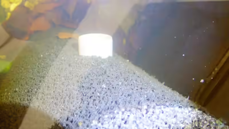 Technik im Aquarium Dunkles Amazonasdikicht von ManiacXL (20)