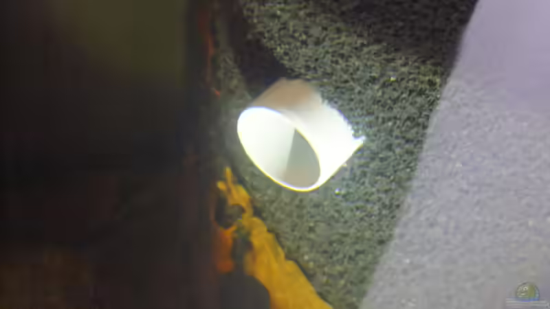 Technik im Aquarium Dunkles Amazonasdikicht von ManiacXL (22)