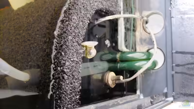 Technik im Aquarium Dunkles Amazonasdikicht von ManiacXL (23)